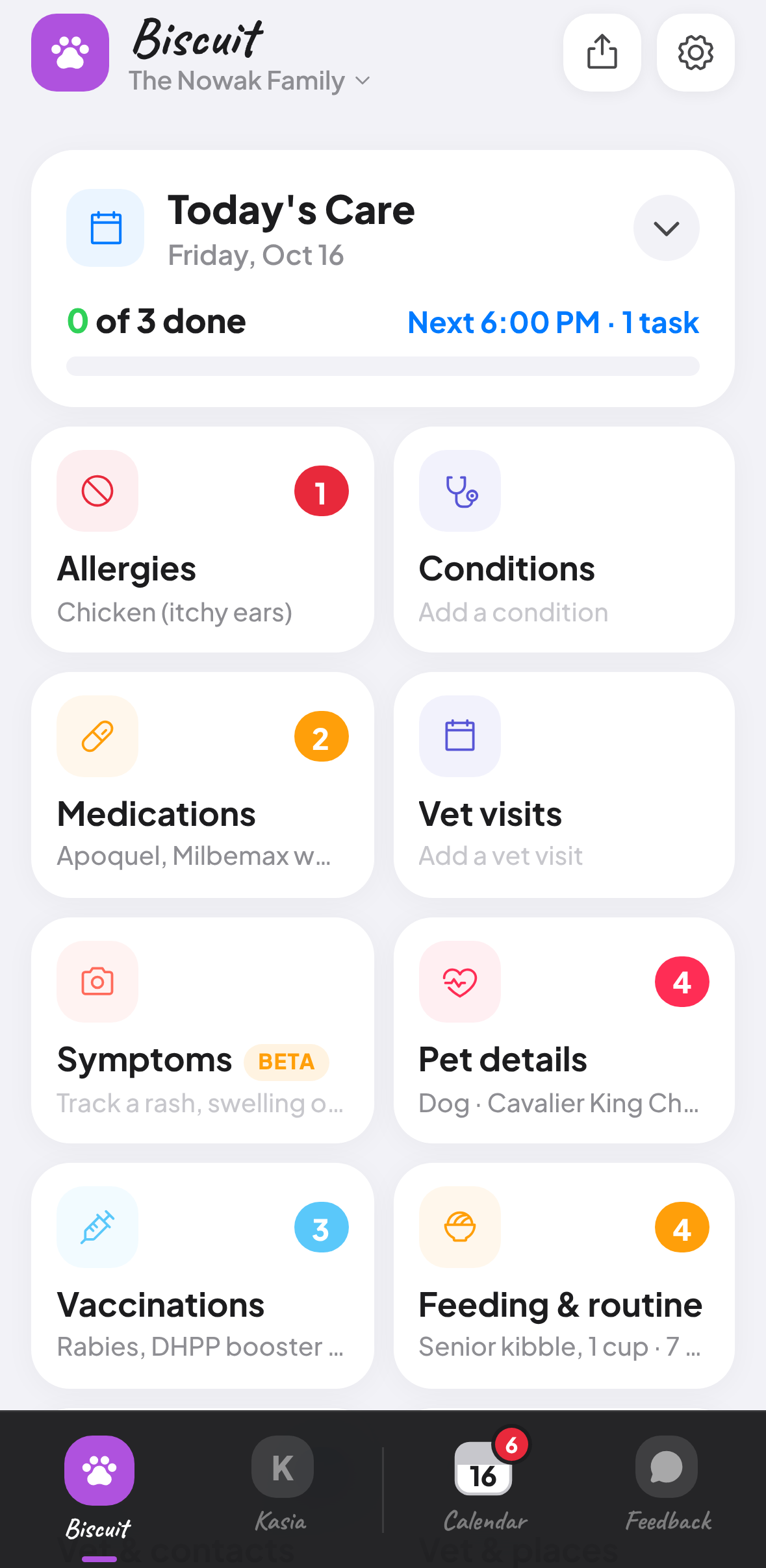 A dog’s page in Great Care: allergies, conditions, medications, vet visits, symptoms, pet details, vaccinations, and feeding and routine.